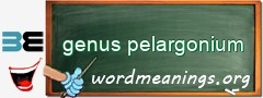 WordMeaning blackboard for genus pelargonium